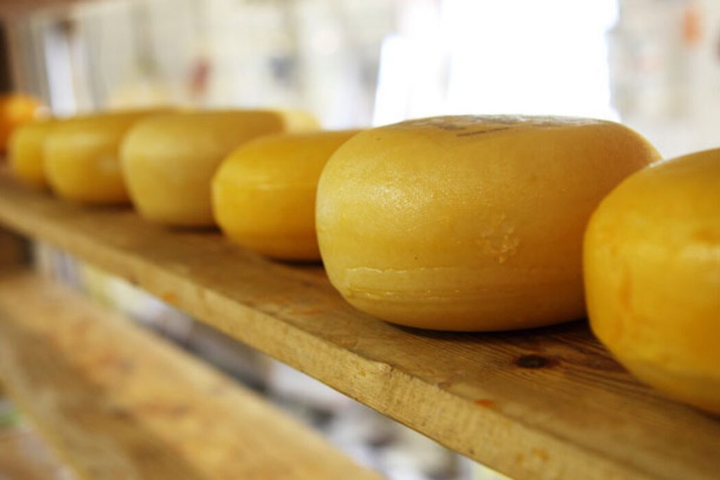 Aprenda a fazer queijo caseiro usando apenas 3 ingredientes
