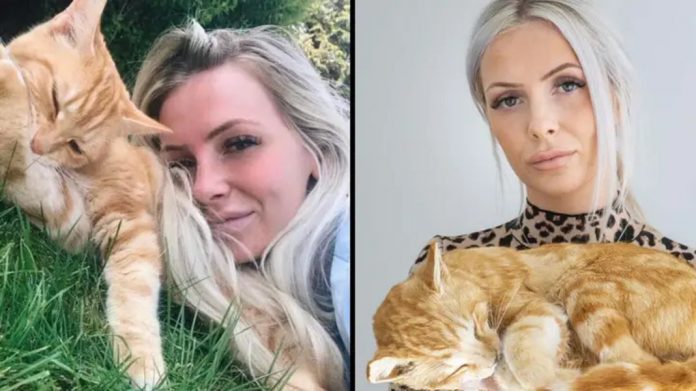 Mulher gasta 4.000 para empalhar seu gato após ele ter morrido atropelado