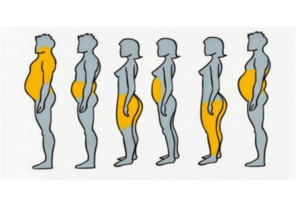 6 tipos de gordura e como você pode eliminá-las