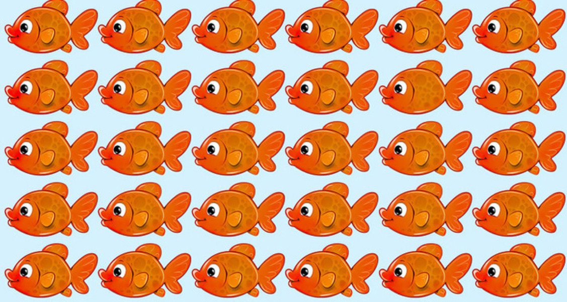 Encontre 1 peixinho diferente em menos de 7 segundos
