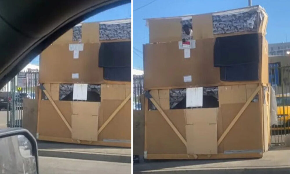 Homem em situação de rua constrói casa de papelão de 2 andares e surpreende a todos