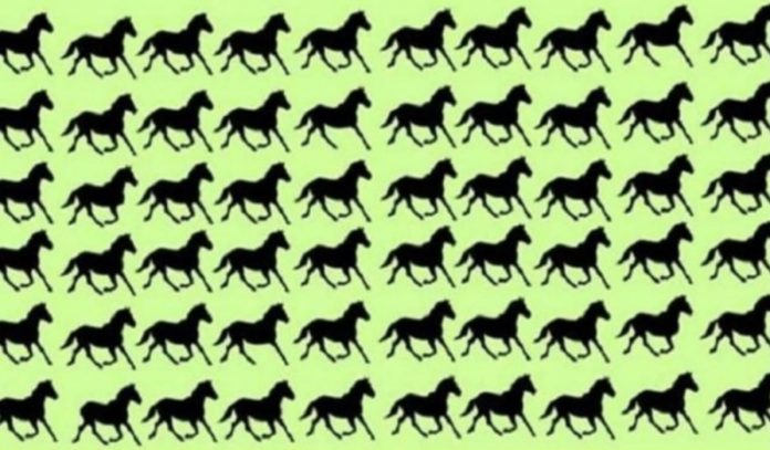 Encontre 5 cavalos de três patas em menos de 9 segundos