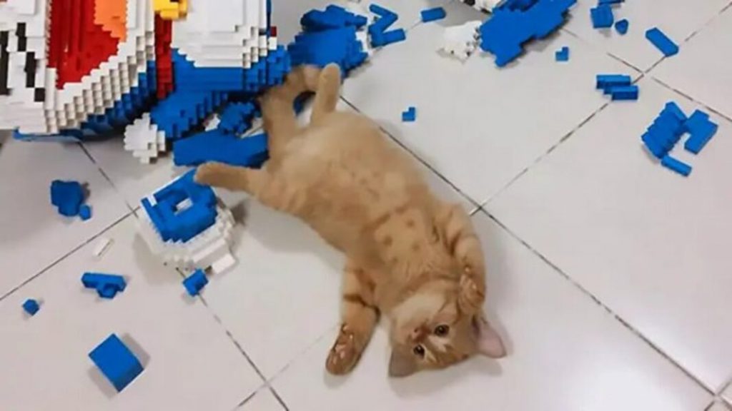 Gato destrói boneco com mais de 2000 peças que o dono demorou 1 semana para fazer