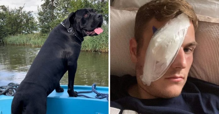 Homem entra em rio para salvar um cão, mas, acaba sendo mordido