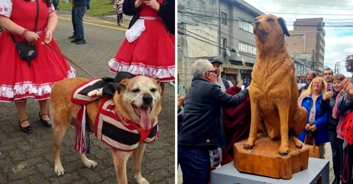 Cão de rua recebeu uma escultura em sua homenagem, celebravam seus 21 anos
