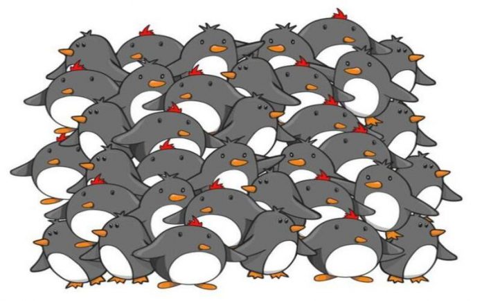 Descubra os pinguins sem bico neste enigma divertido