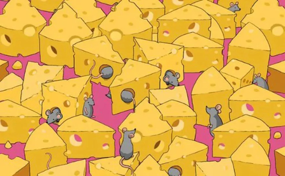 Descubra 1 dado entre os queijos, quase ninguém encontra