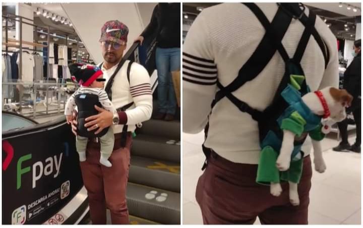 Homem viraliza após ser visto carregando filho e pet em pochete